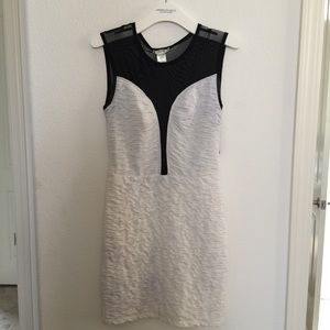 Sexy Sheer Cleavage Black & White Mini Dress